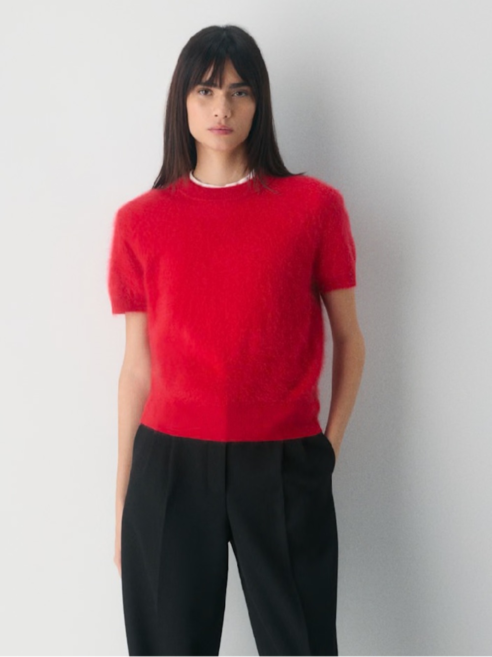 Aritzia Brushed Cashmere Shortsleeve Crew Sweater